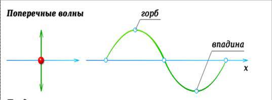 Поперечная волна рисунок