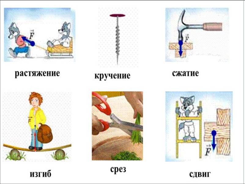 Сила упругости проект